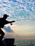 钓鱼如何摘鱼